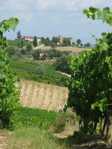 1 Toscana (2)