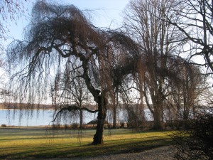 2 Ringsjön (26)