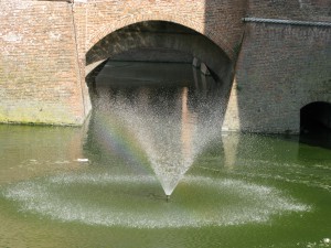 Ferrara (3)