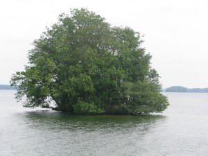 Groser Plönen See (8)