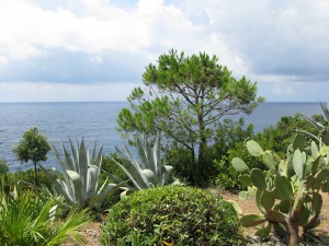 Riomaggiore (6)