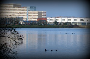 Julmarknad, Heligenhafen 002